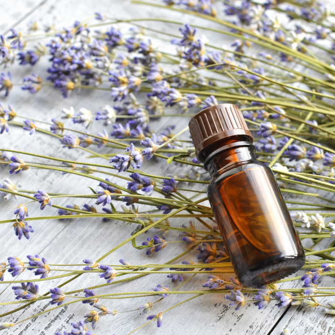 Lavender Essential Oil: A Holistic Symphony for Mind, Body, and Spirit